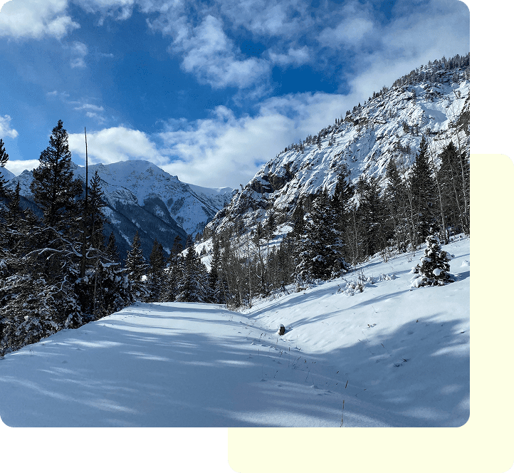 Snow-covered mountain path with tall pine trees under a partly cloudy sky.