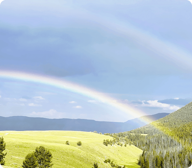 A vibrant double rainbow arches over a sunny green landscape with trees and hills.